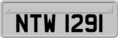 NTW1291