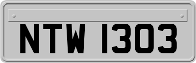 NTW1303