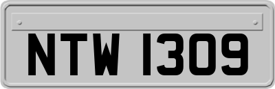 NTW1309