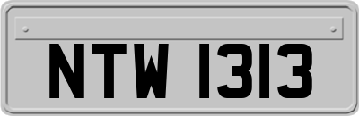 NTW1313