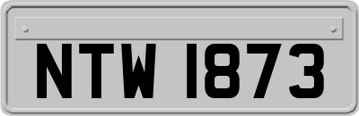 NTW1873
