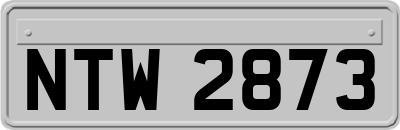 NTW2873