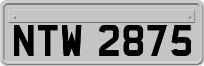 NTW2875