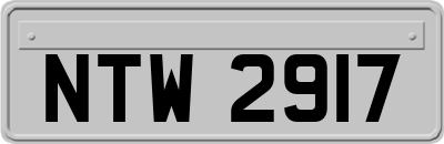 NTW2917