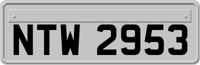 NTW2953