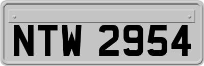 NTW2954