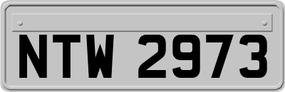 NTW2973