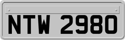 NTW2980