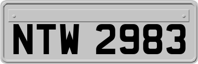 NTW2983
