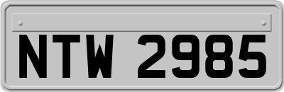 NTW2985