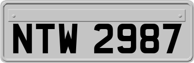 NTW2987