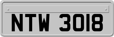 NTW3018