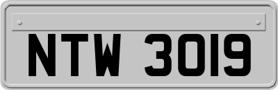 NTW3019