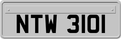 NTW3101