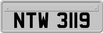 NTW3119