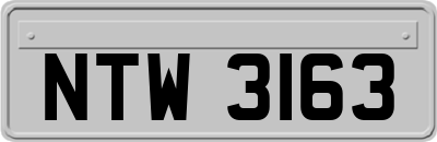 NTW3163