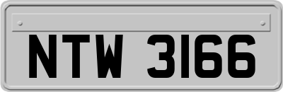 NTW3166