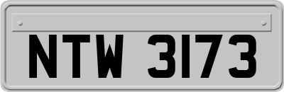 NTW3173