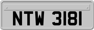 NTW3181