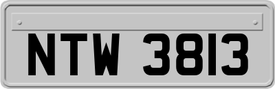 NTW3813