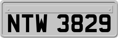NTW3829