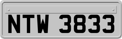 NTW3833