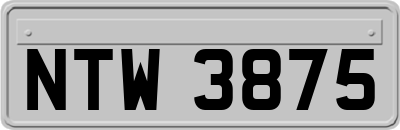 NTW3875