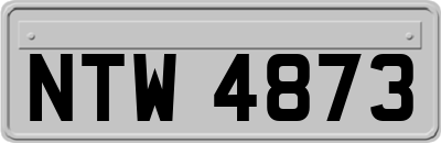 NTW4873