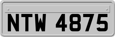 NTW4875