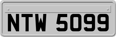 NTW5099