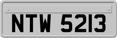 NTW5213