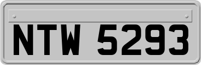 NTW5293