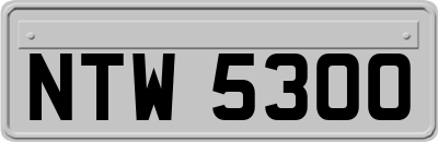 NTW5300