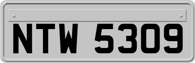 NTW5309