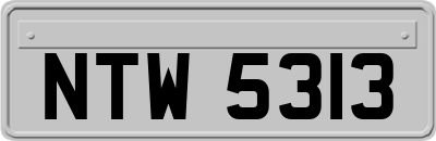 NTW5313