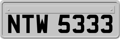 NTW5333