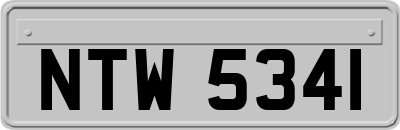 NTW5341