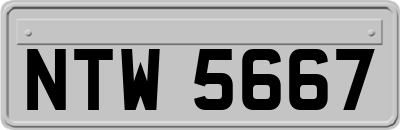 NTW5667