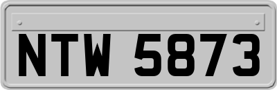 NTW5873