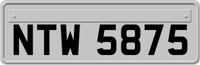 NTW5875