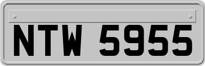 NTW5955