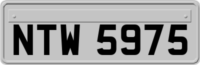 NTW5975