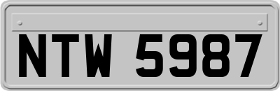 NTW5987