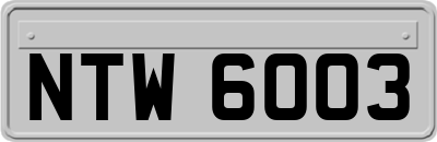 NTW6003