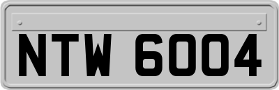 NTW6004