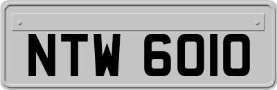 NTW6010