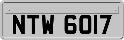 NTW6017