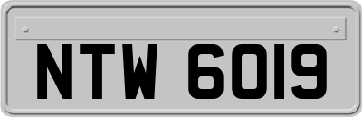 NTW6019