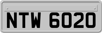 NTW6020