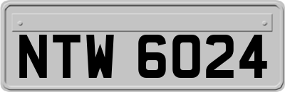 NTW6024